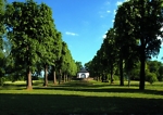 Baumallee mit Blick auf den Pavillon im Gel�nde des Bergfriedes