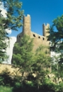 Blick auf die Burgruine Hoher Schwarm