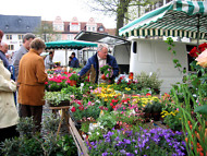Fr�hlingsmarkt in Saalfeld