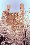 Burgruine Hoher Schwarm im Winter