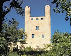 Burgruine Hoher Schwarm im Sommer